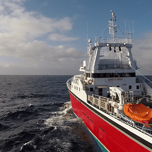 NZ orange roughy fishery self-suspends part of its MSC certificate