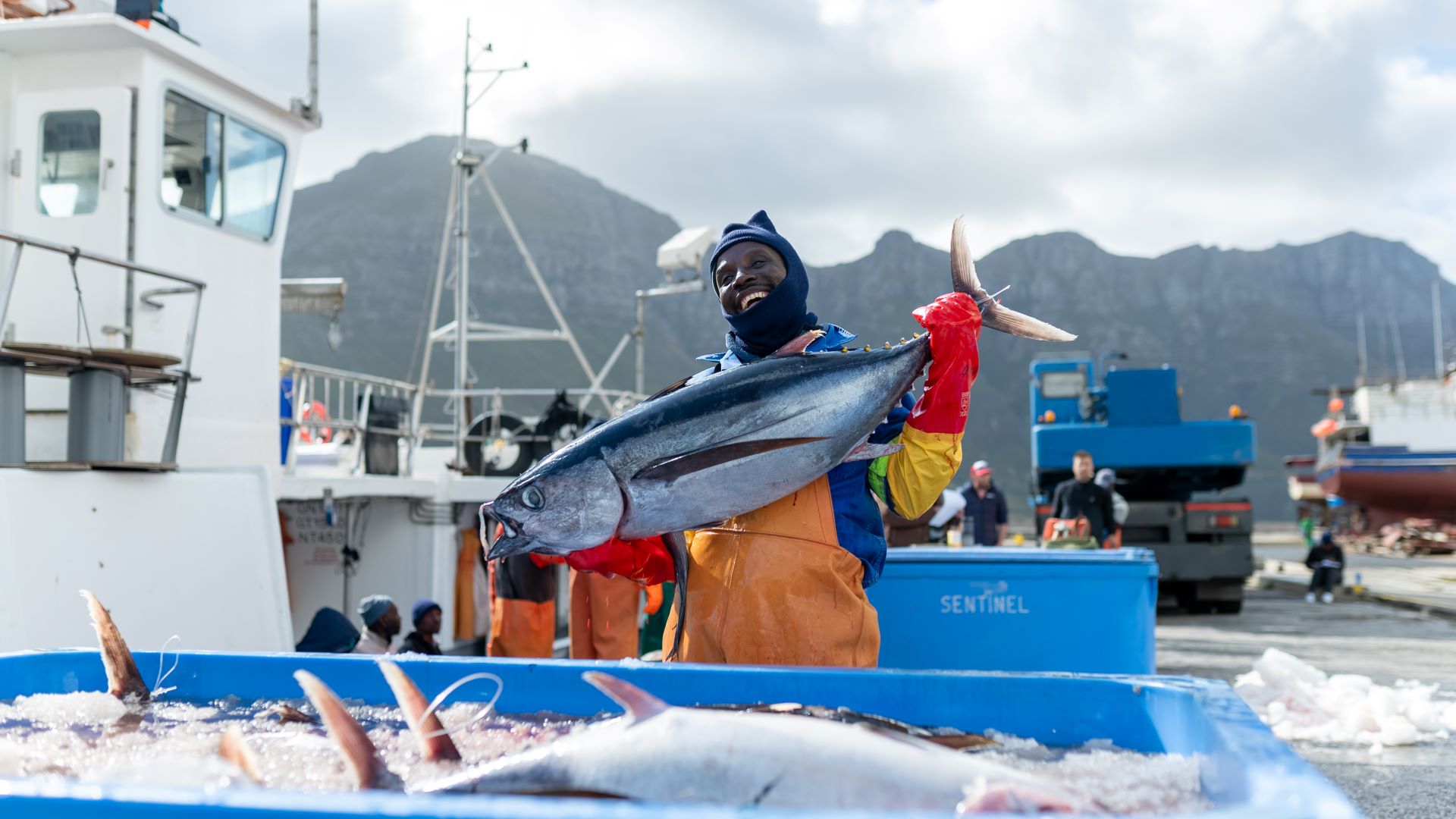 Südafrikanische Angelrutenfischerei auf Weißen Thunfisch Fischer aus Südafrika präsentiert MSC-zertifizierten Weißen Thun