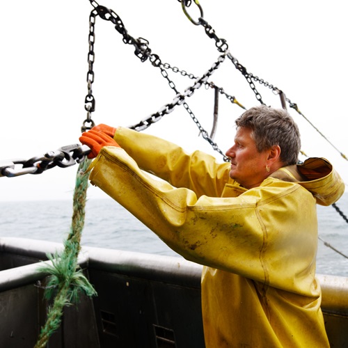 Référentiel Pêcheries
