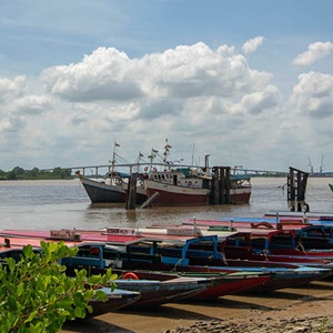 Suriname trawl fishery: Smartphone app to identify protected species