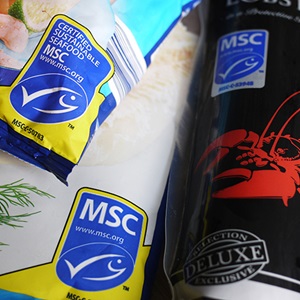 Fyrir hvað stendur bláa MSC merkið?