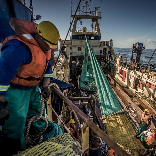 Fisheries improving