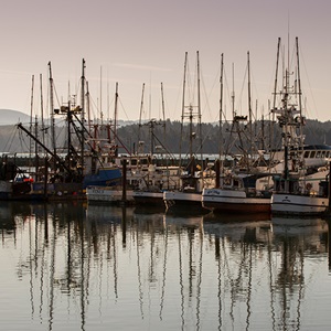 Why get your fishery MSC certified?